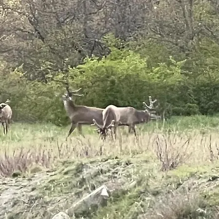 Lägenhet Mi Casa Es Tu Casa Marano (Emilia-Romagna)